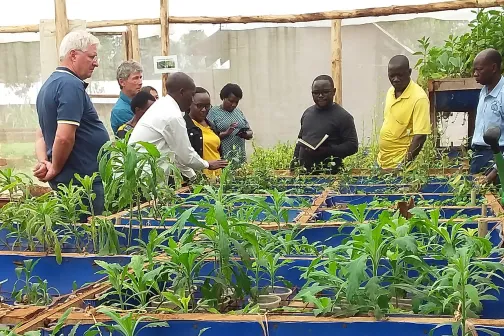Begutachtung von Arzneipflanzen in Uganda