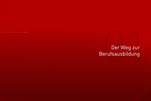 Handbuch "Der Weg zur Berufsausbildung"